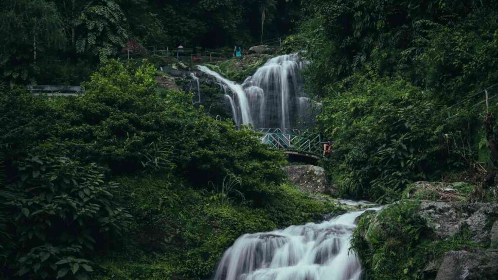 Darjeeling Tour Packages