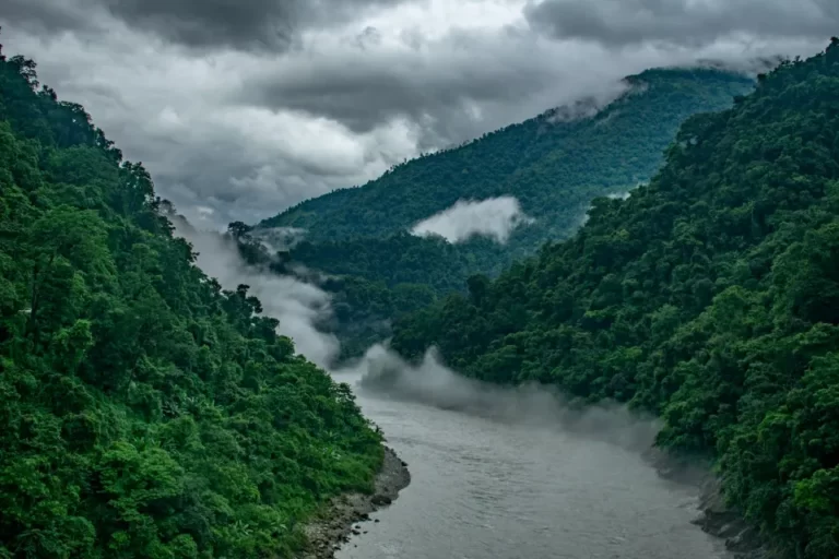 boudhayan-bardhan-klbsBddFz4E-unsplash